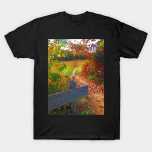 On the Way Home T-Shirt